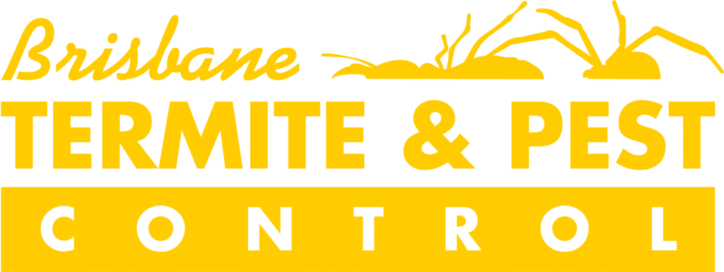 brisbane-termite-and-pest-control-logo-brisbane-1024x386
