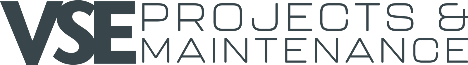 VSE_Logo